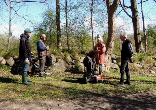 Mogens Aarsleff, Flemming Ejlersen, Helle Øelund og Nils Frederiksen (med coronaafstand) under beskæring langs stendiget ved Stolbjerg Bakke 25. april 2020. Fot. Asbjørn Hillestoft