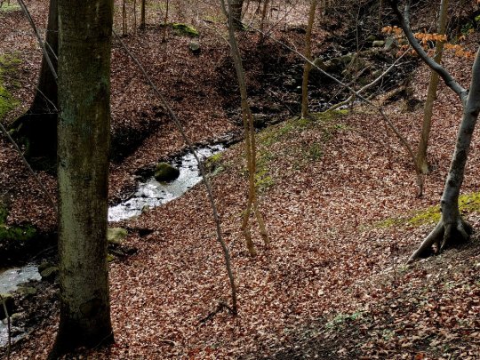 Slugten neden for Meulenborgs mølledamme 1. april 2017. Fot. Asbjørn Hillestoft.