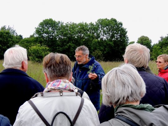 Botaniker Peter Milan Petersen ved botanikvandring 25. juni 2015. Fot. Asbjørn Hillestoft.