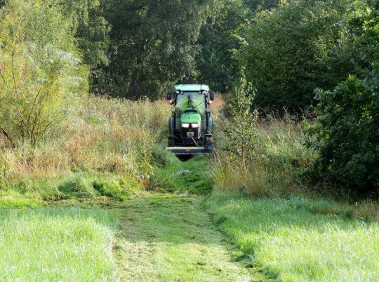 Fodstierne slås i 110 cms bredde flere gange årligt. Fot. 4. sept. 2018, Asbjørn Hillestoft.